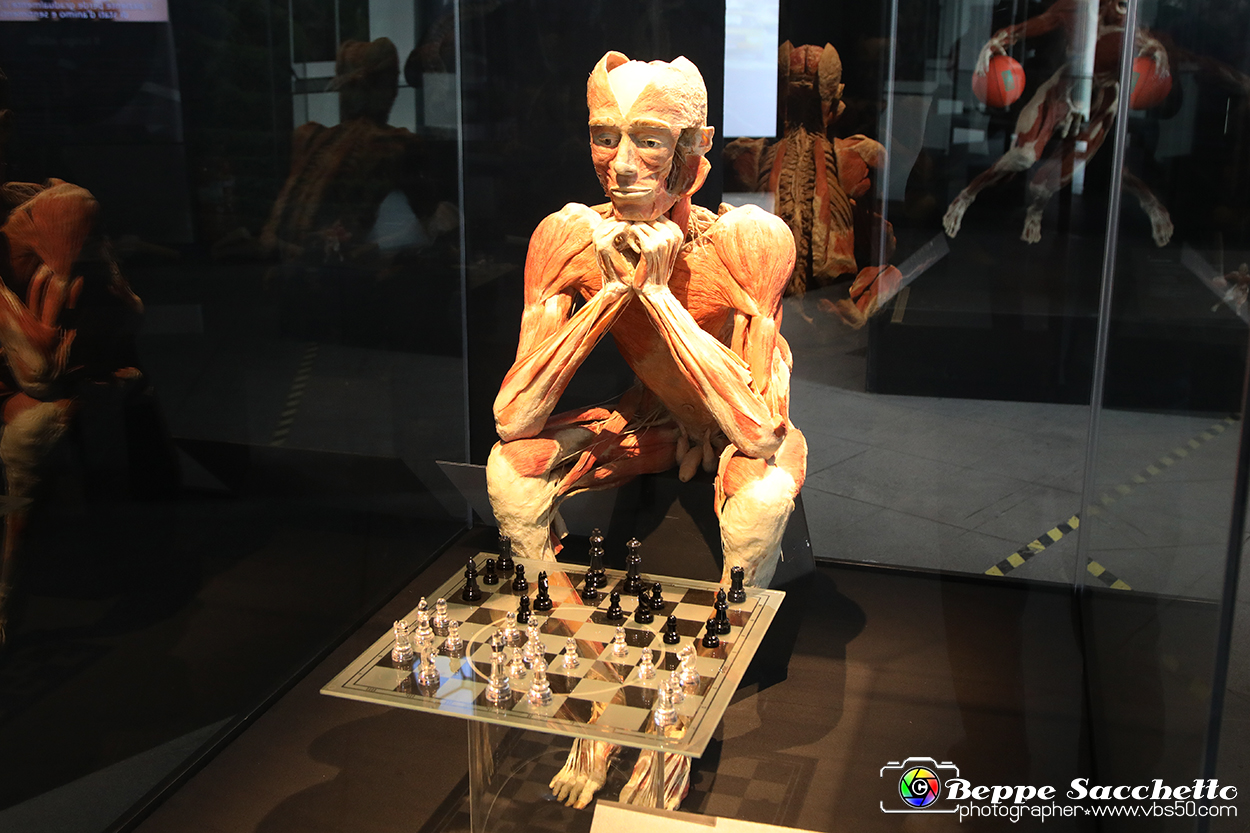 VBS_2967 - Mostra Body Worlds.jpg